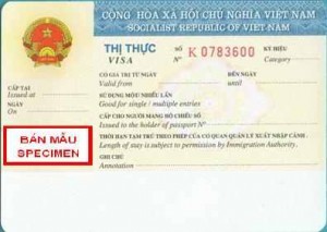 mau visa viet nam