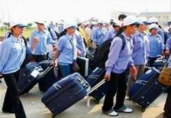 Trà Vinh hỗ trợ gia đình chính sách đi lao động ở nước ngoài