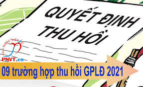 thu hồi giấy phép lao động