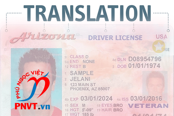 Dịch giấy phép lái xe nước ngoài 